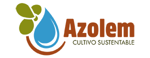AZOLEM